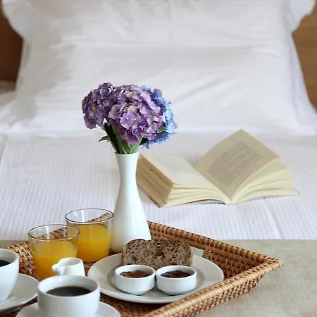 Hotel Theta Pelion