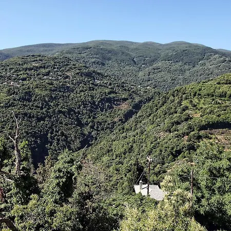 Theta Pelion Hotel