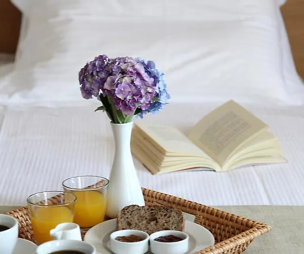 Hotel Theta Pelion